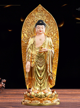 背光是活动的可以拿掉的