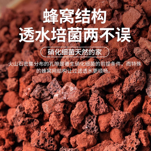 天然火山石颗粒铺面石园艺植料多肉土鱼缸养鱼乌龟造景底沙火山岩 - 图0