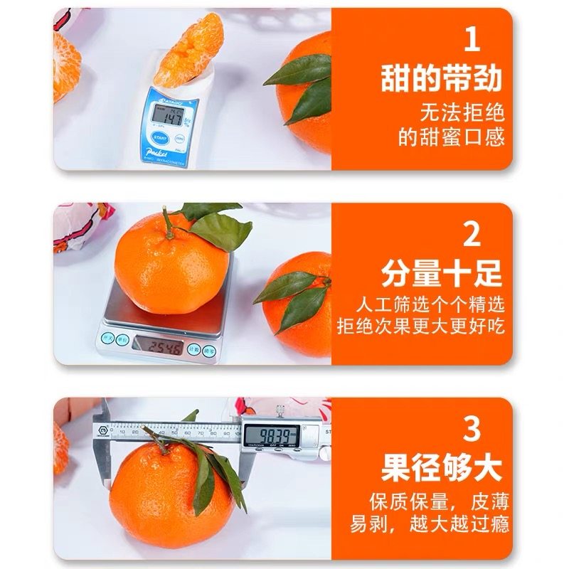 正宗四川春见耙耙柑粑粑柑杷杷柑新鲜水果整箱当季丑桔子顺丰包邮,淘宝优惠券,粉丝福利购,淘宝优惠卷