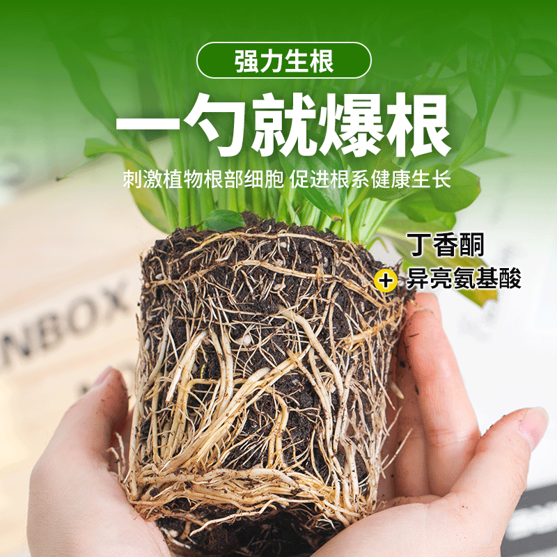 生根粉植物通用强力生根剂快速壮苗果树移栽扦插专用营养液水溶肥-图1