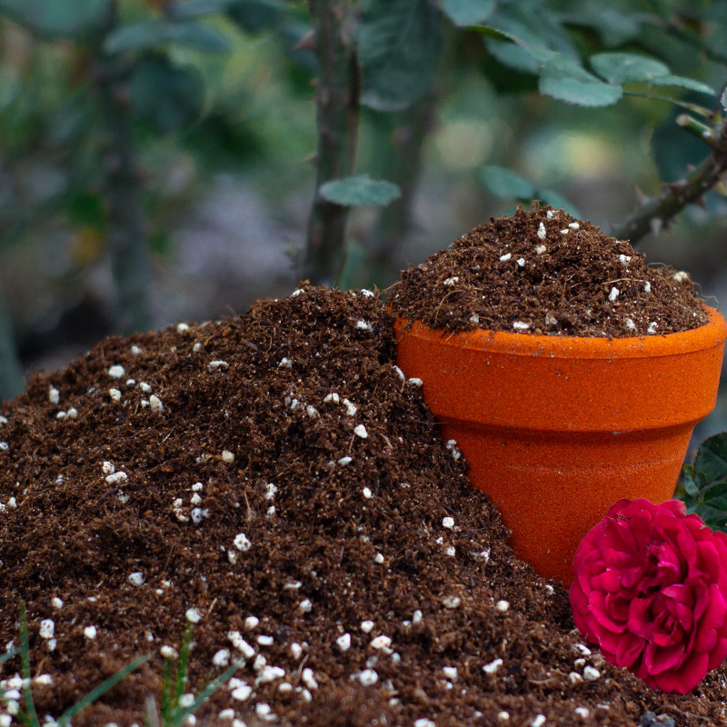 玫瑰月季土专用种植土铁线莲盆栽泥炭土通用型营养土家用花土包邮 猪猪淘宝优惠券 和好朋友一起省钱