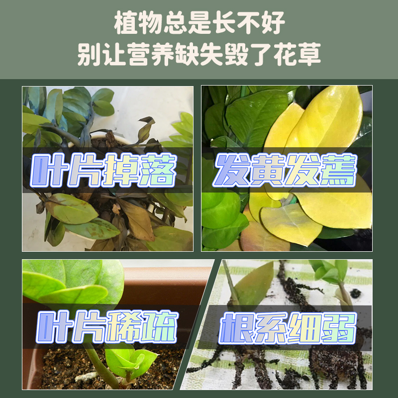 金钱树专用营养液盆栽植物室内绿植养花种植通用氮磷钾复合花肥料 - 图0