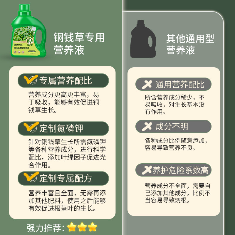 铜钱草浓缩营养液专用水培养花金钱草家用盆栽植物通用营养水溶液,淘宝优惠券,粉丝福利购,淘宝优惠卷