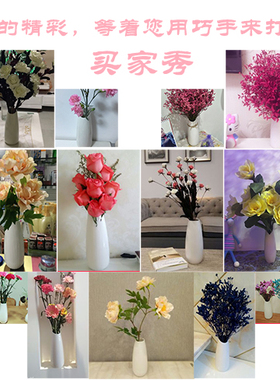 ins北欧干花小客厅陶瓷
