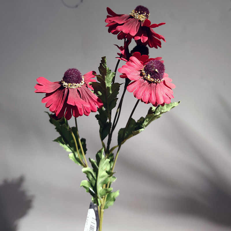 单供花 新人首单立减十元 22年4月 淘宝海外