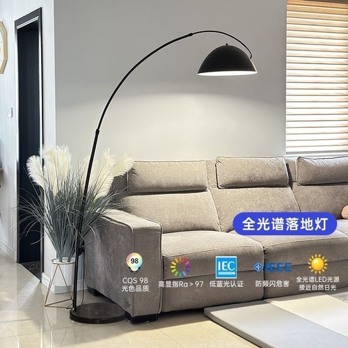 护眼极简钓鱼落地灯客厅北欧现代沙发边角氛围轻奢艺术立式落地灯 - 图0