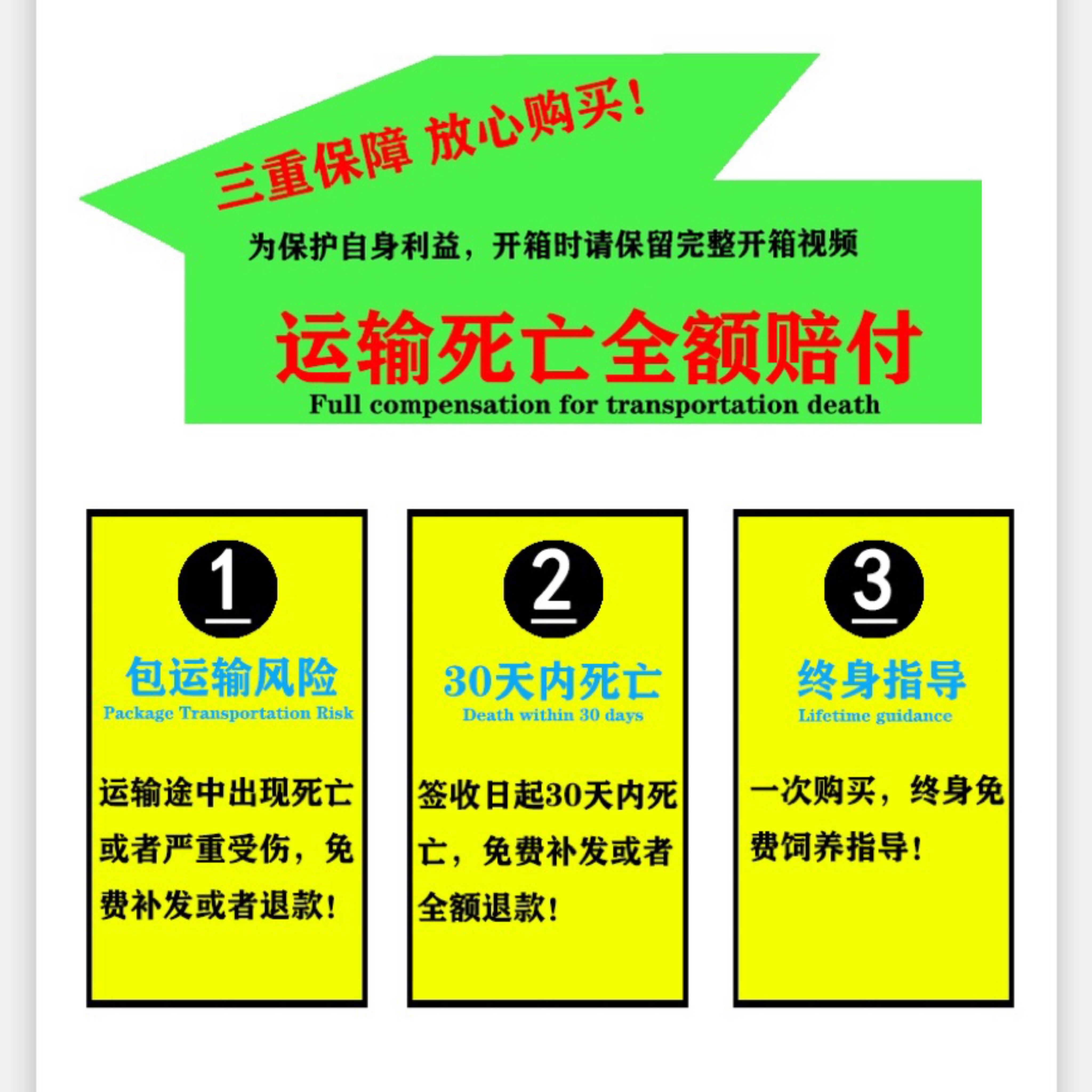 小青三黄北石金钱宠物草巴西缘喉情侣活物龟鳖黄耳龟鳄龟物乌龟活 - 图3