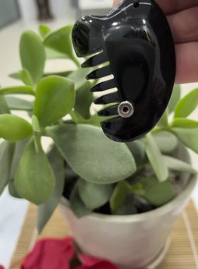 这一款是出自青海的一种玉它里面含铁人们称它为墨玉证书写蛇纹玉