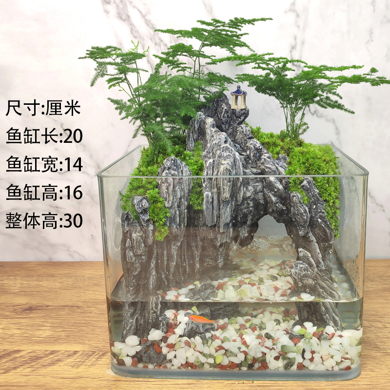 流水版鱼缸造景全套生态微景观小型桌面装饰真植物造景水草水陆缸