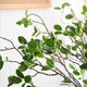 Flower arrangement in Milan simulated flower and green plant feel model room