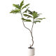 Simulated bread tree potted artificial tree plant landscaping bonsai