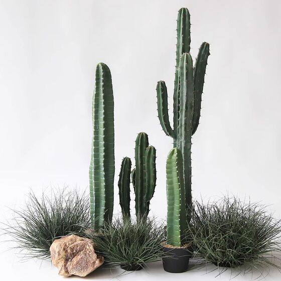 Simulated cactus tropical desert green plant landscaping