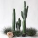 Simulated cactus tropical desert green plant landscaping