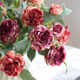 3 burnt edge roses artificial flower ornaments