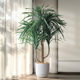 Large simulated green plant Dracaena decorative landscaping potted plant