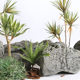 Fiberglass scene landscaping interior decoration fake stone