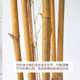 New Chinese style simulated golden bamboo green plant potted bonsai