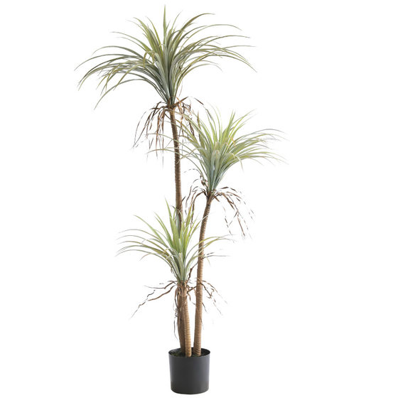Simulated yucca tree potted green plants landscaping tropical plants