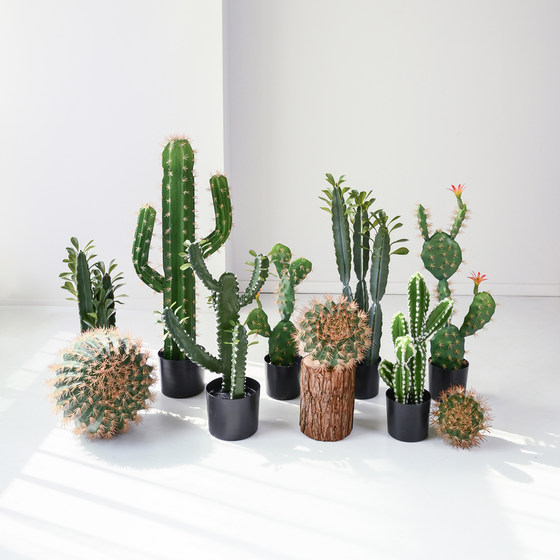 Simulated cactus potted succulents fake cactus