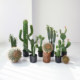 Simulated cactus potted succulents fake cactus