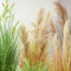 Simulated reed potted bionic plants fake green plants for landscaping