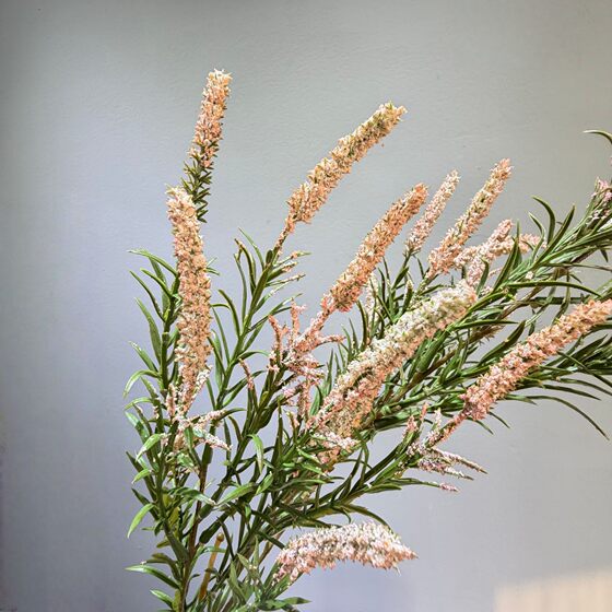 Simulated sage interior decoration plant artificial flower arrangement