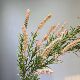 Simulated sage interior decoration plant artificial flower arrangement