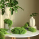 Simulated moss turf landscaping fake moss lawn