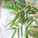 Simulated sunflower and bamboo green plants potted plants for landscaping