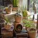 Woven flower basket, natural seaweed and rattan green plant set pot