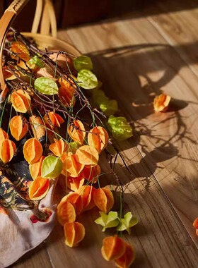 仿真灯笼果新年高档花假花摆设