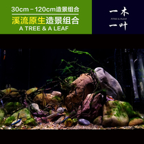 Creek-made view cobblestone native shrimp tiger-cylinder three-lake cylinder custom-made scenery sent to the vine Thailand sink wood