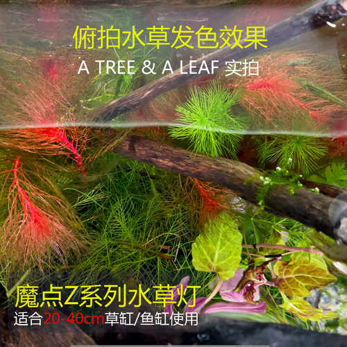 新款魔点ZRGB版本 水草灯 20-40cm小缸使用 WRGB全光谱 手机小程 - 图1