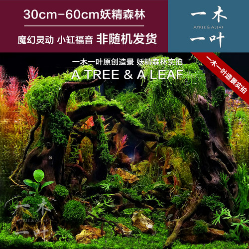 沉木包邮 造景沉木 草缸造景 杜鹃根 草缸  一木一叶原创妖精森林 - 图0