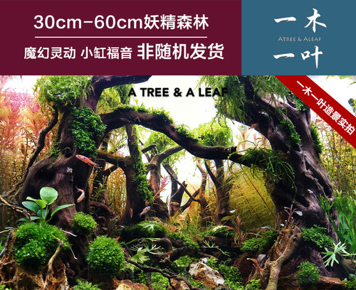 沉木包邮 造景沉木 草缸造景 杜鹃根 草缸  一木一叶原创妖精森林 - 图2