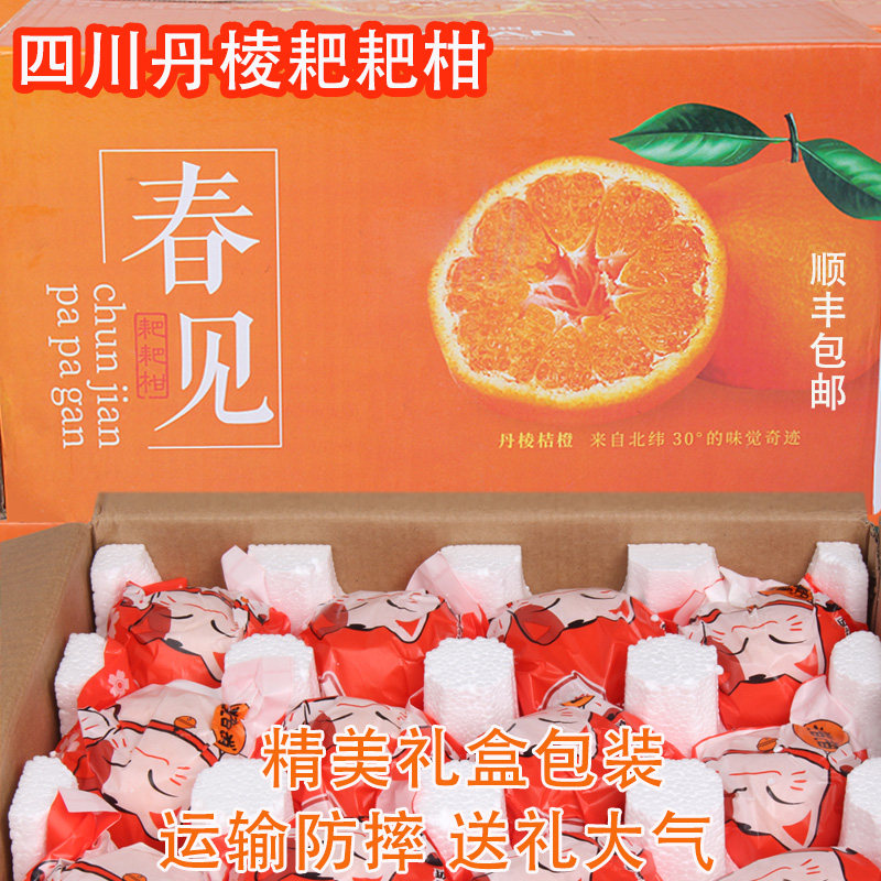 四川春见耙耙柑10斤特级大果现摘春见粑粑柑新鲜应季水果顺丰包邮
