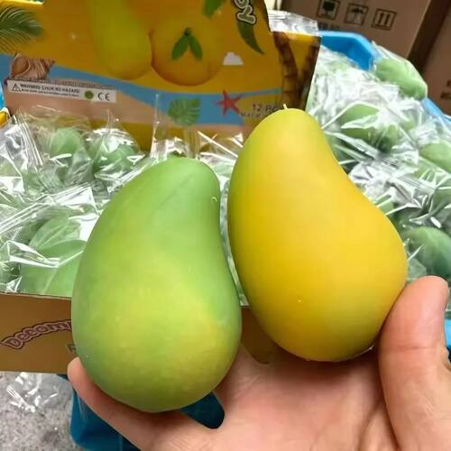 Kiwi & Watermelon Fruit Slushy Squishy Toy Soft Stress Relie - 图0