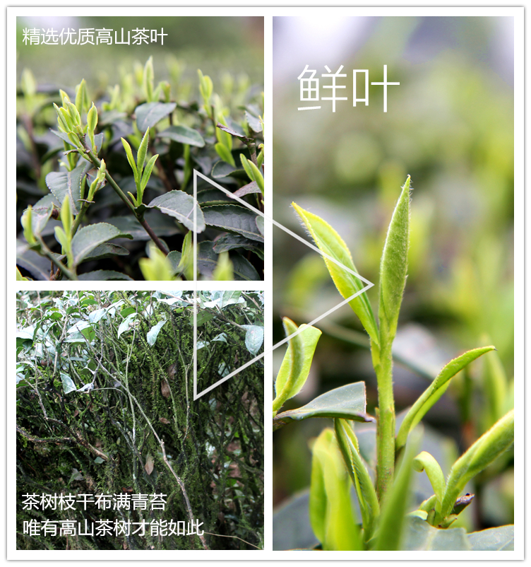 500g 四川峨眉蒙顶山茶明前特级绿茶龙井茶叶 雀舌碎茶片 新茶 2019 500g 四川峨眉蒙顶山茶明前特级绿茶龙井茶叶 雀舌碎茶片 新茶 2019