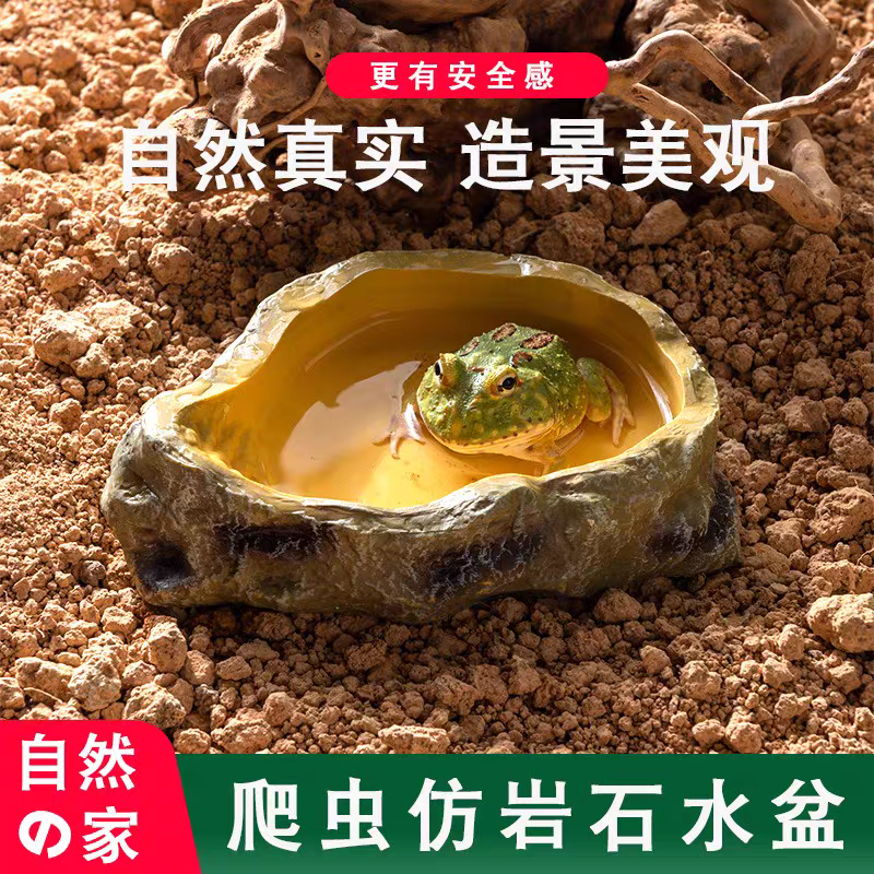 爬宠树脂造景爬宠喂食盆守宫蜥蜴角蛙 食盘水龟寄居蟹泡澡盆 - 图0