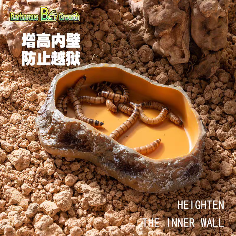 爬宠树脂造景爬宠喂食盆守宫蜥蜴角蛙 食盘水龟寄居蟹泡澡盆 - 图1