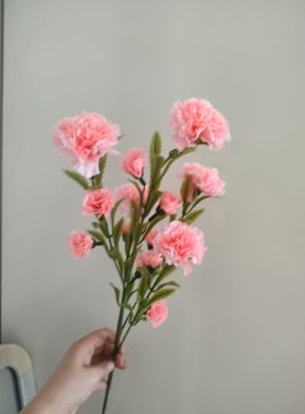 康乃馨仿真花束客厅假花餐桌摆件插花绢花塑料花装饰花母亲节礼物