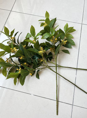 仿真桂花叶插花摆件道具常青月桂支工程酒店装饰树叶家居软装假花