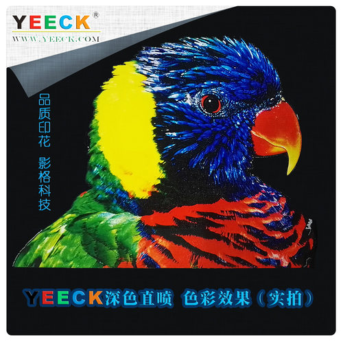 进口服装印花机T恤直喷高端全棉UV纺织墨水影格红46色牢度超省墨 - 图1