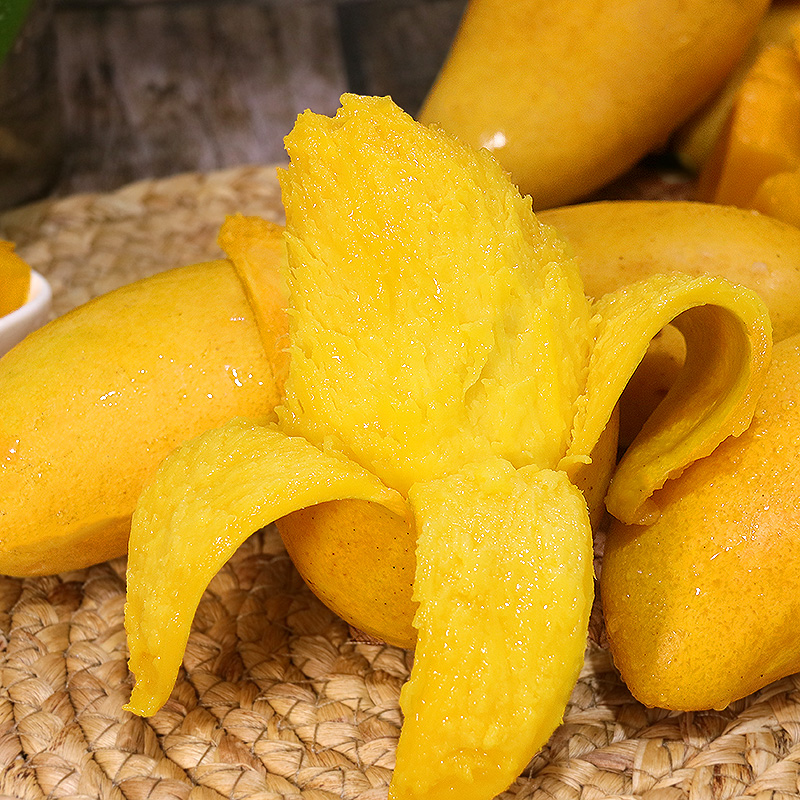 六井旗舰店海南小台农芒果9斤现摘热带小台芒果甜水果新鲜应当季整箱包邮103