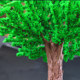 Architectural Sandbox Model Materials Landscape Trees