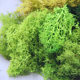 Architectural sand table model landscape simulation bushes