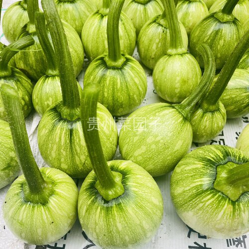 贵州小南瓜农家当季露天新鲜蔬菜小瓜崽瓜娃子绿皮嫩瓜吊瓜圆瓜 - 图1