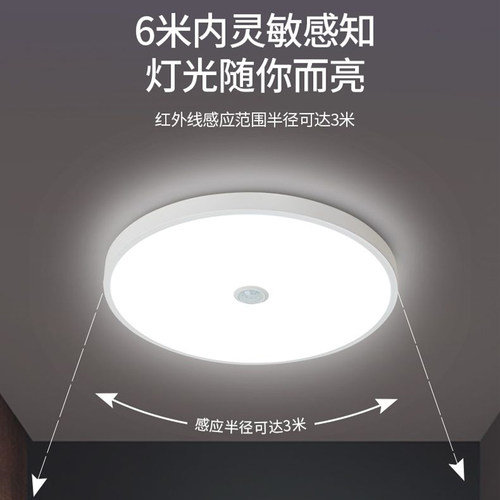 佛山照明led人体感应吸顶灯三防灯楼梯过道红外感应声光控感应灯 - 图2
