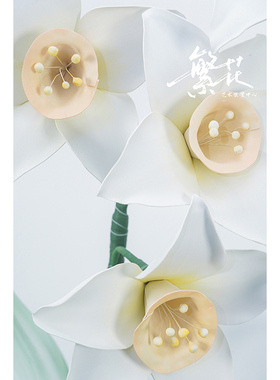 网红水仙花户外防水高级感EVA手工巨型纸花婚礼商场橱窗装饰