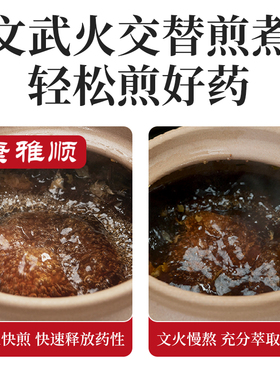 康雅顺原陶无釉煎药壶智能家用熬药砂锅全自动多功能电煮中药壶